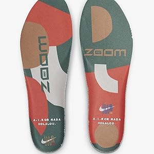 【新品未使用】ナイキ ペガサス 39 AIR HOLA LOU 27.5㎝ Nike Air Zoom Pegasus 39 A.I.R. Hola Lou Men's - DO9500-300 - US